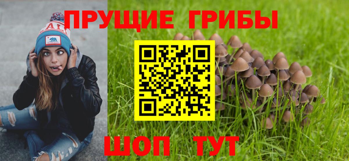Псилоцибиновые грибы мухоморы  Вход с VPN  Псилоцибиновые грибы мухоморы  Чусовой 