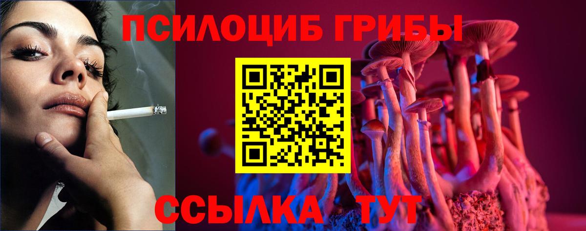 Галлюциногенные грибы MAGIC MUSHROOMS Чусовой